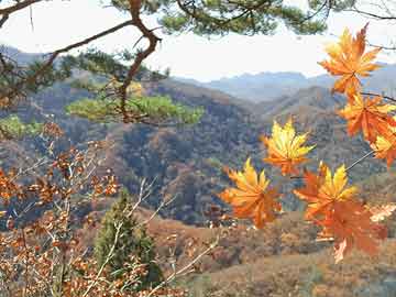 爱游戏-_防守如铁壁，尼克斯锁死快船_，尼克斯防守效率