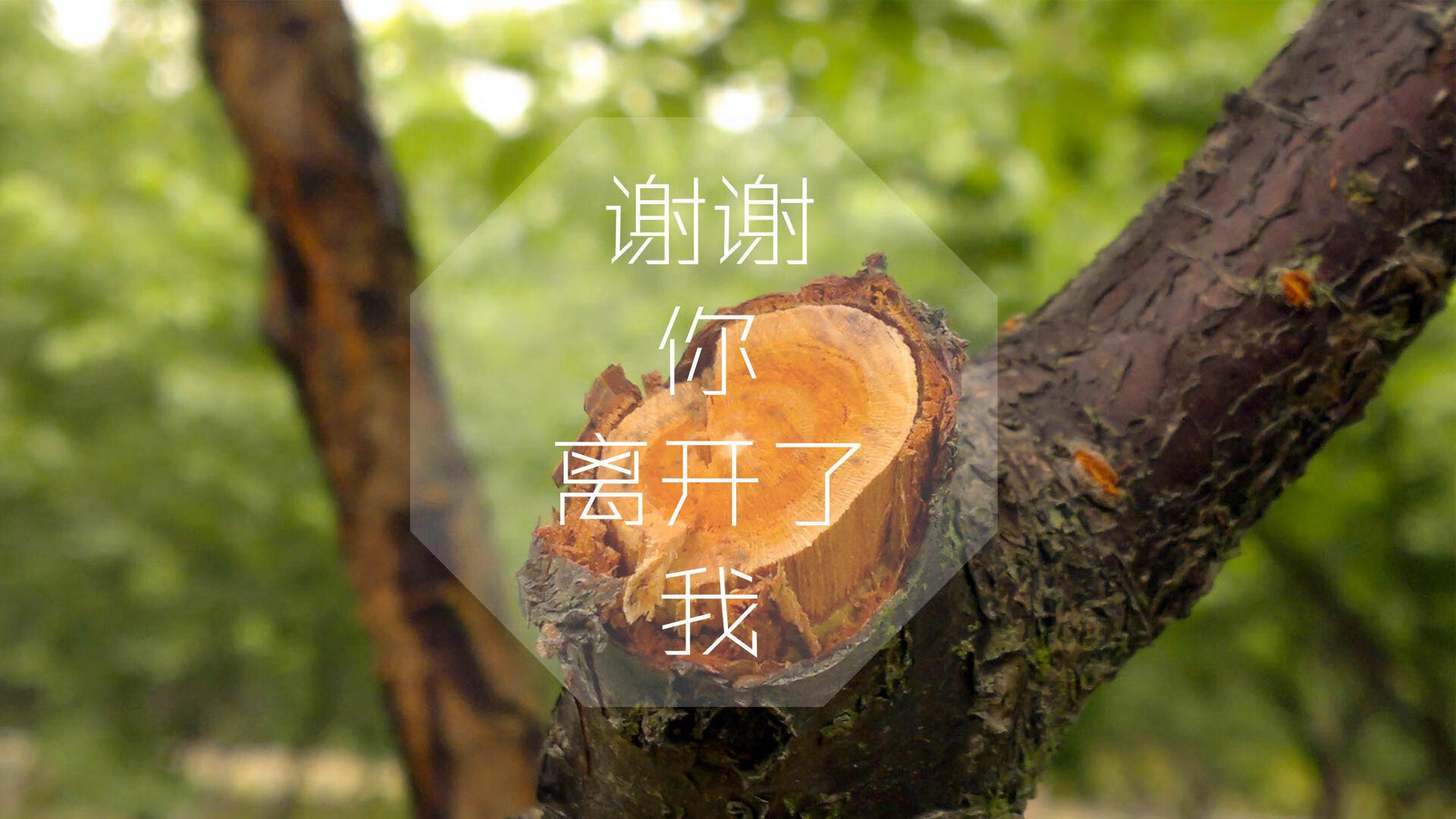 爱游戏平台-皇室战争“王者之路”全球总决赛倒计时，皇室战争总决赛冠军