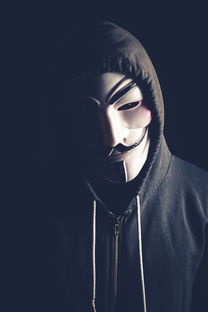 爱游戏平台-弗朗索瓦·斯图尔特：出色的进攻组织者，带领南非队稳步向前，弗朗索瓦莱特瑞尔