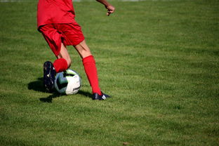 爱游戏娱乐-职业俱乐部推动退役球员培训转型教练岗位，职业选手退役当教练