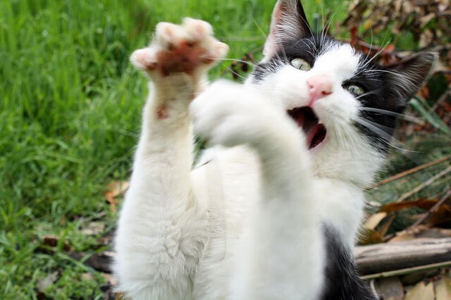 爱游戏综合娱乐-青训基地尝试沉浸式战术模拟训练增强实战反应,沉浸式体能训练馆